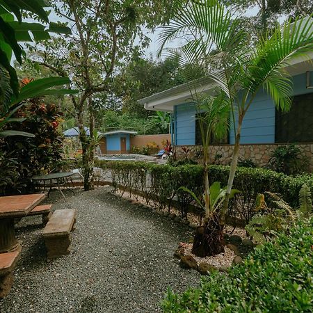 Oasis Diverse Adult Retreat 奎波斯城 外观 照片